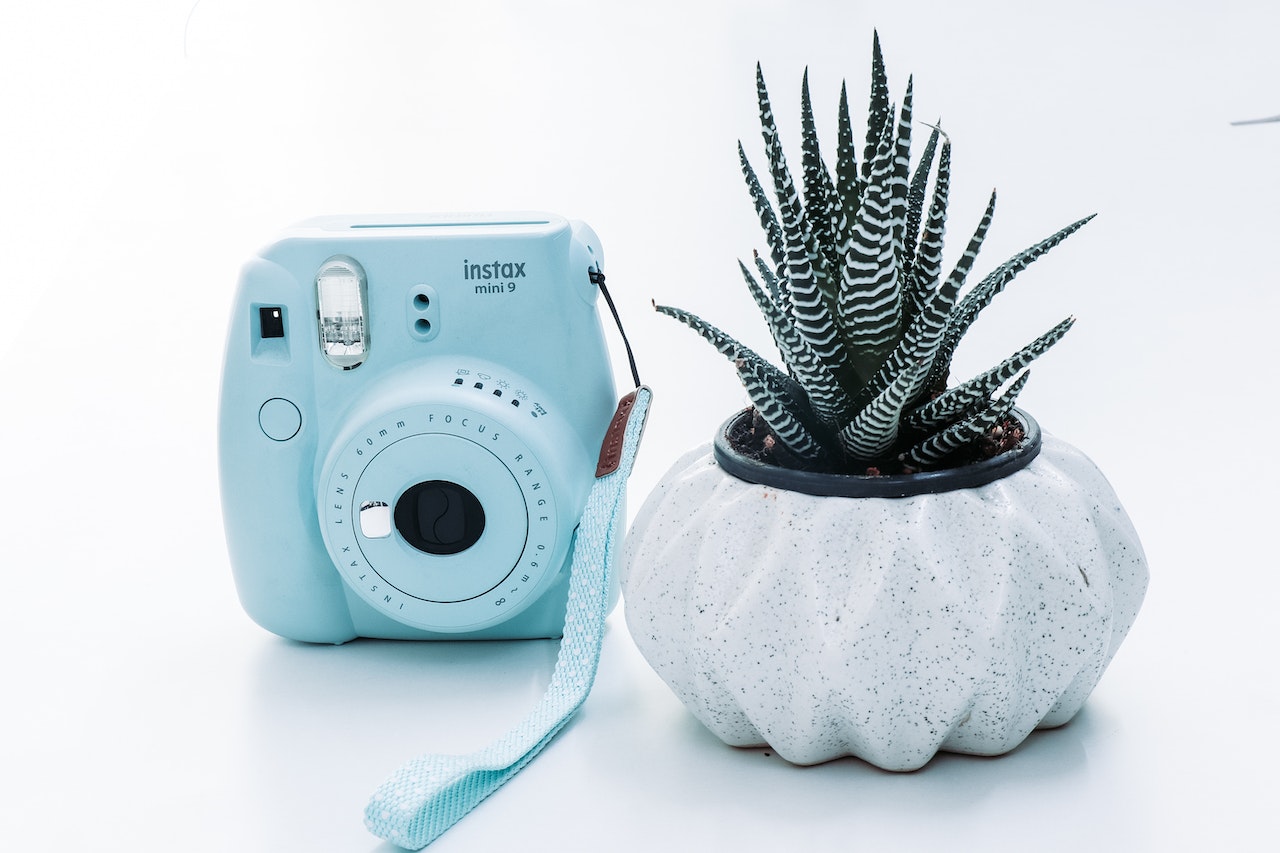 Blue instax is very tiny standing next to a flower pot